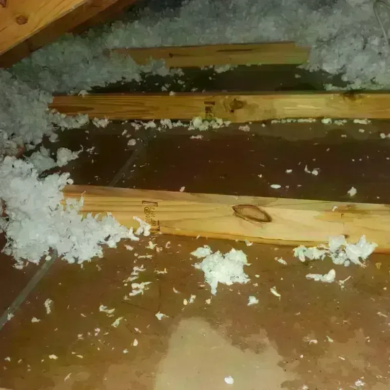 Attic Water Damage in Todd County, KY